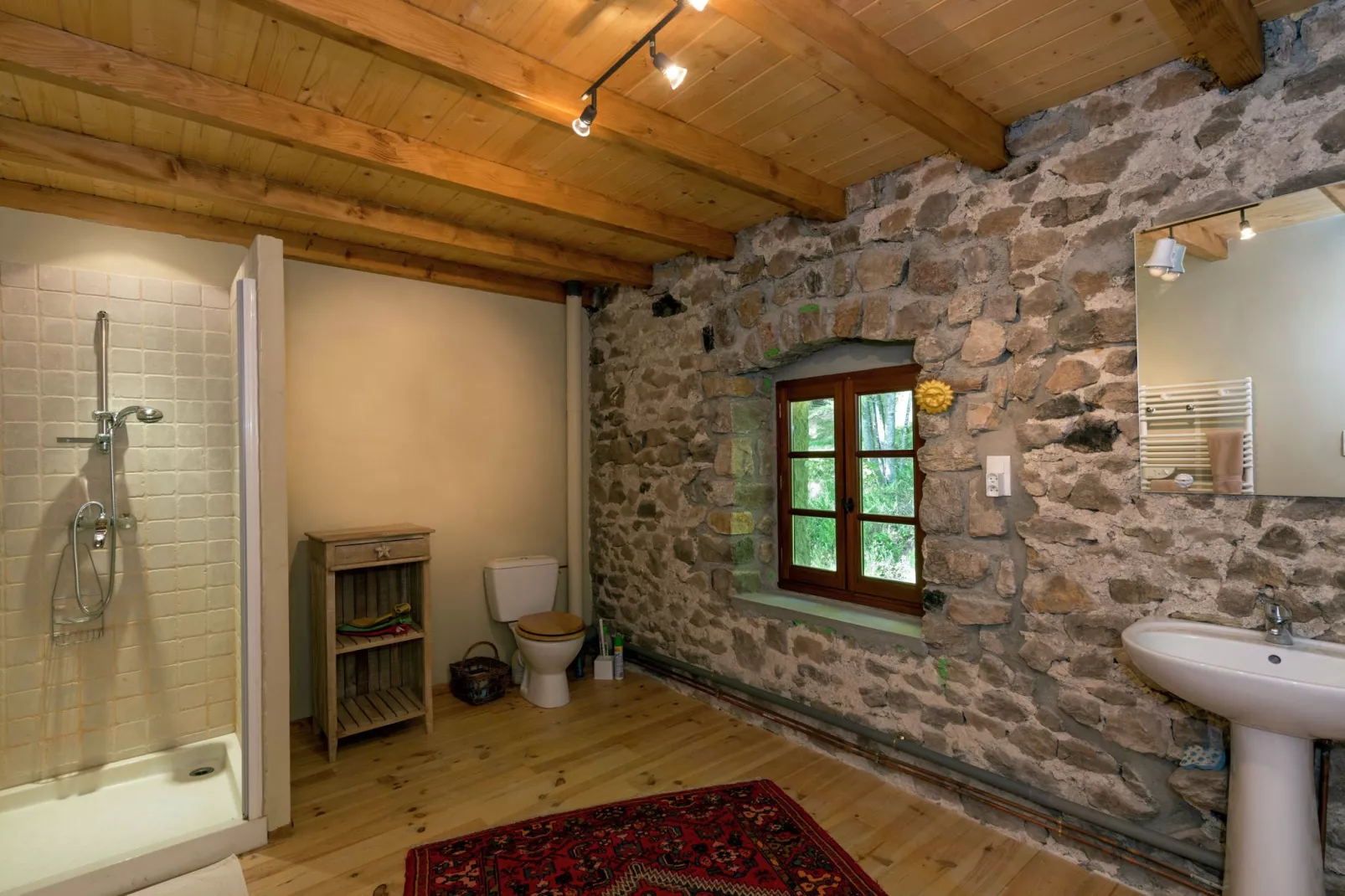 Maison de vacances - St Pierre Sur Doux-Bathroom