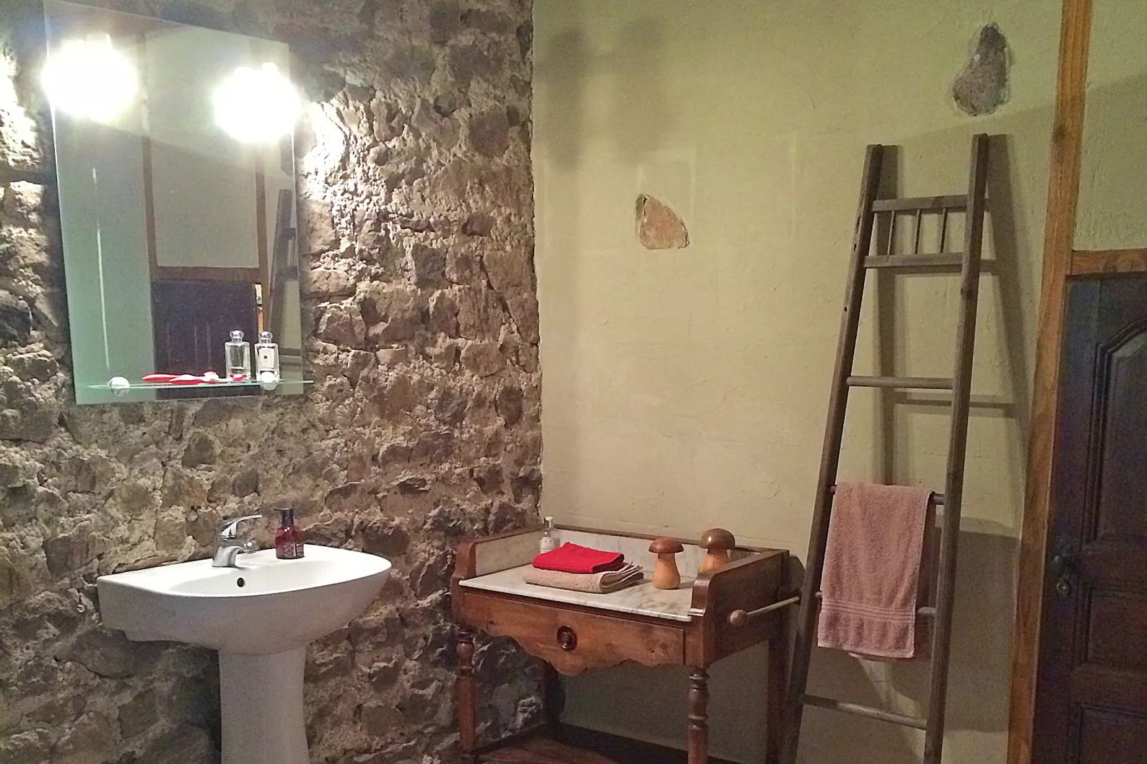 Maison de vacances - St Pierre Sur Doux-Bathroom