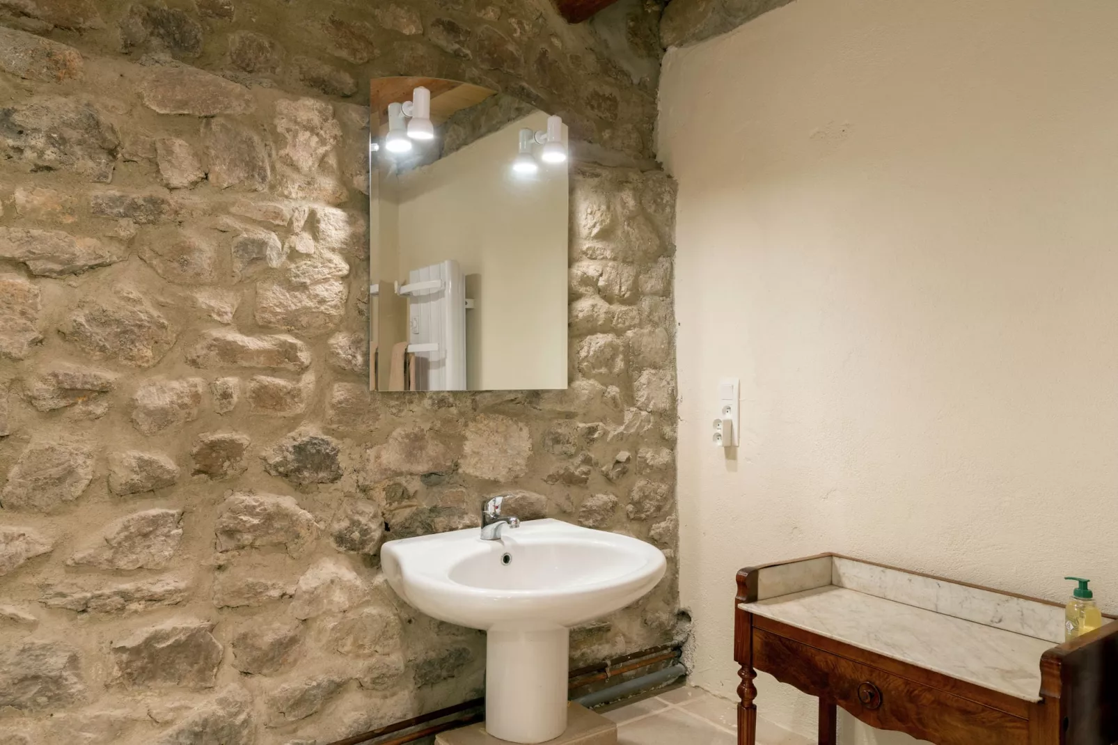 Maison de vacances - St Pierre Sur Doux-Bathroom