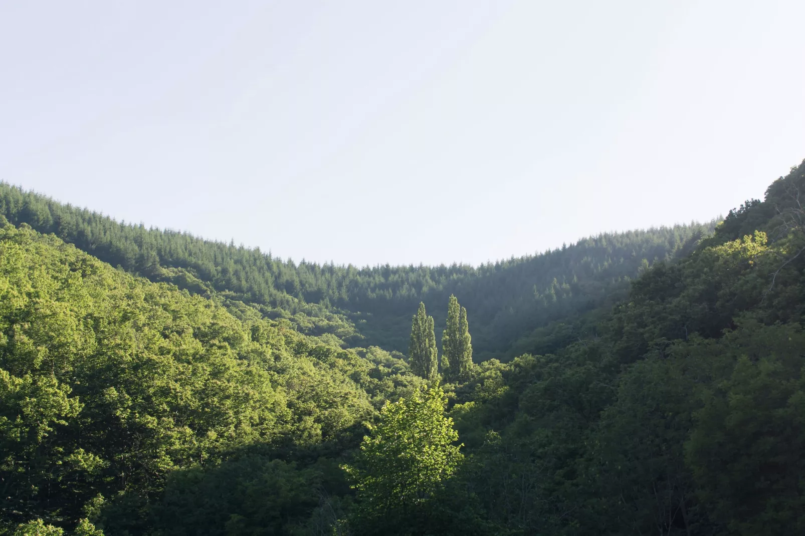 La Roche-Areas summer 5km