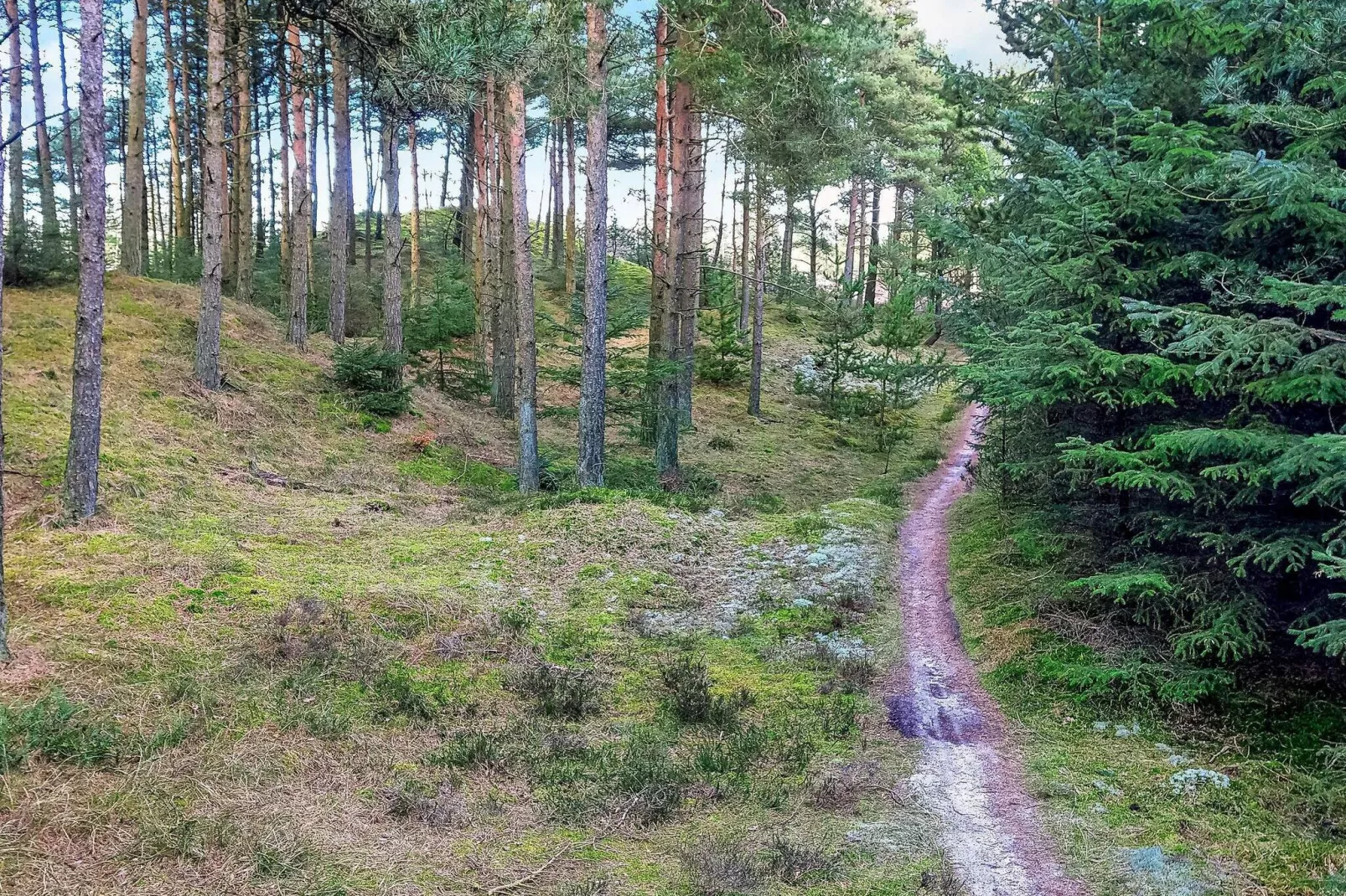 6 person holiday home in Fjerritslev-View