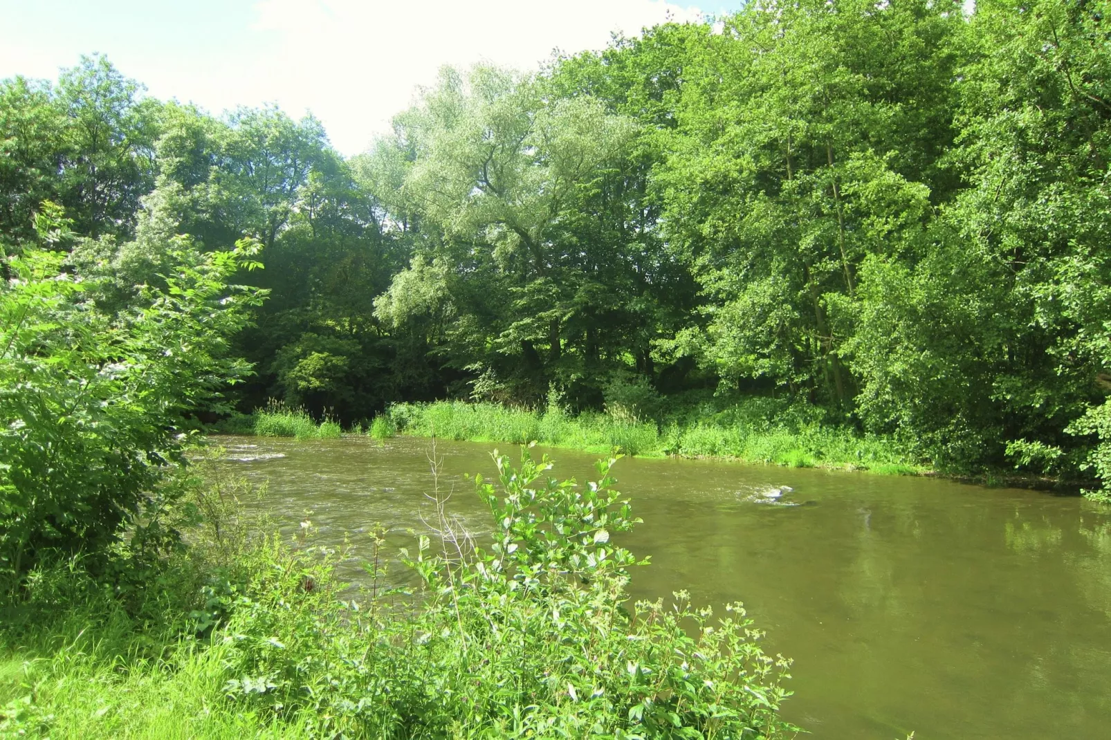Gite du Viroin 2-Gardens summer