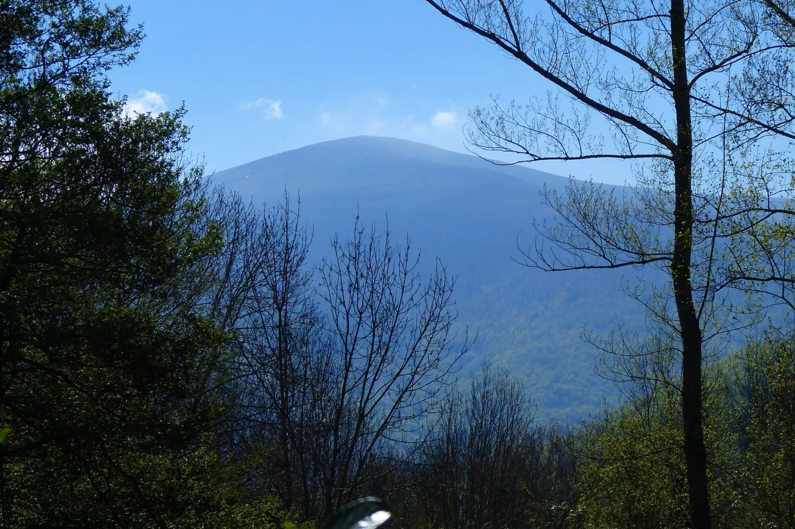 A little house in the mountains-View summer