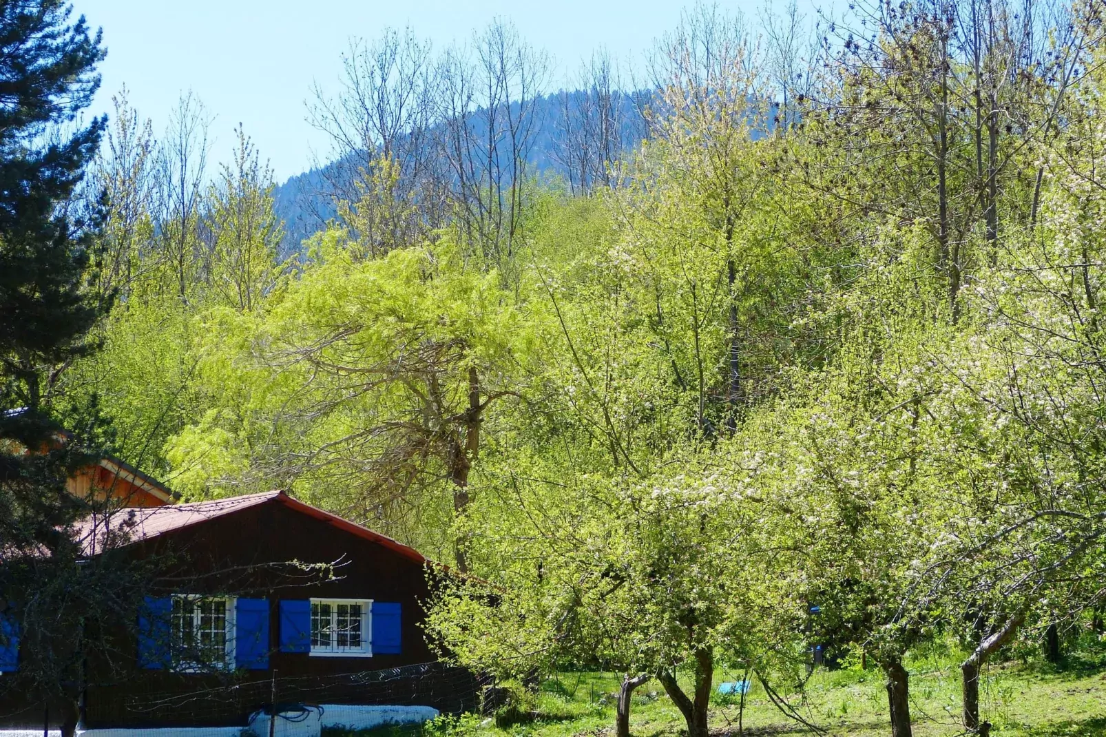 A little house in the mountains-Gardens summer