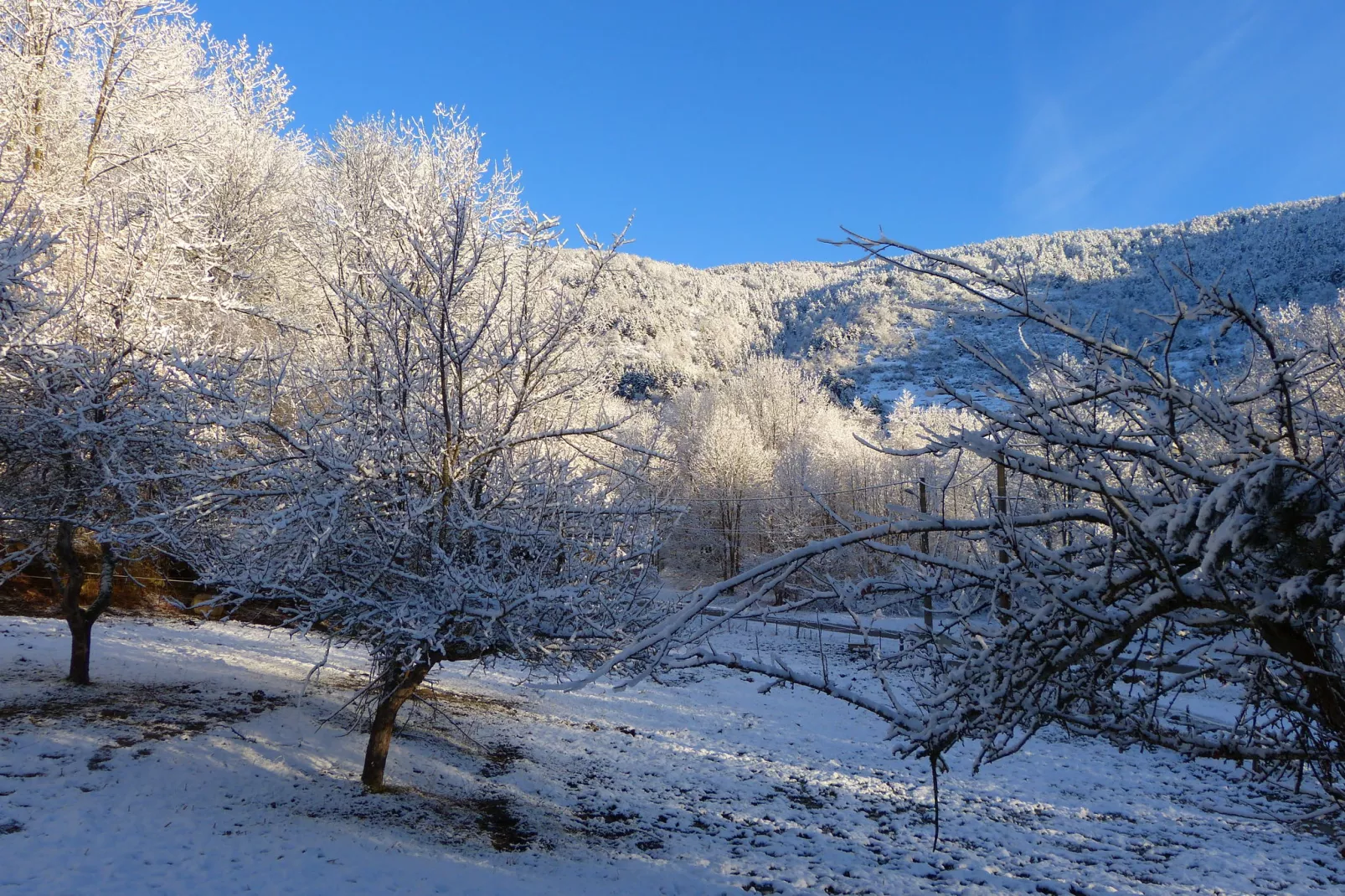 A little house in the mountains-Garden winter