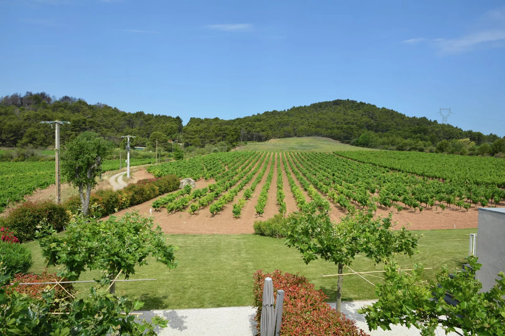 Gîte Grenache-View summer