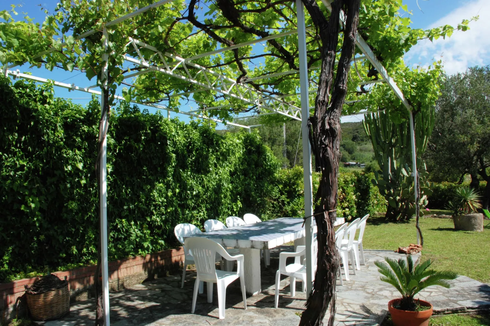 Il Pozzo-Gardens summer