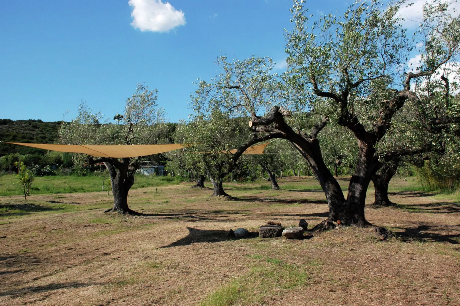 Il Pozzo-View summer
