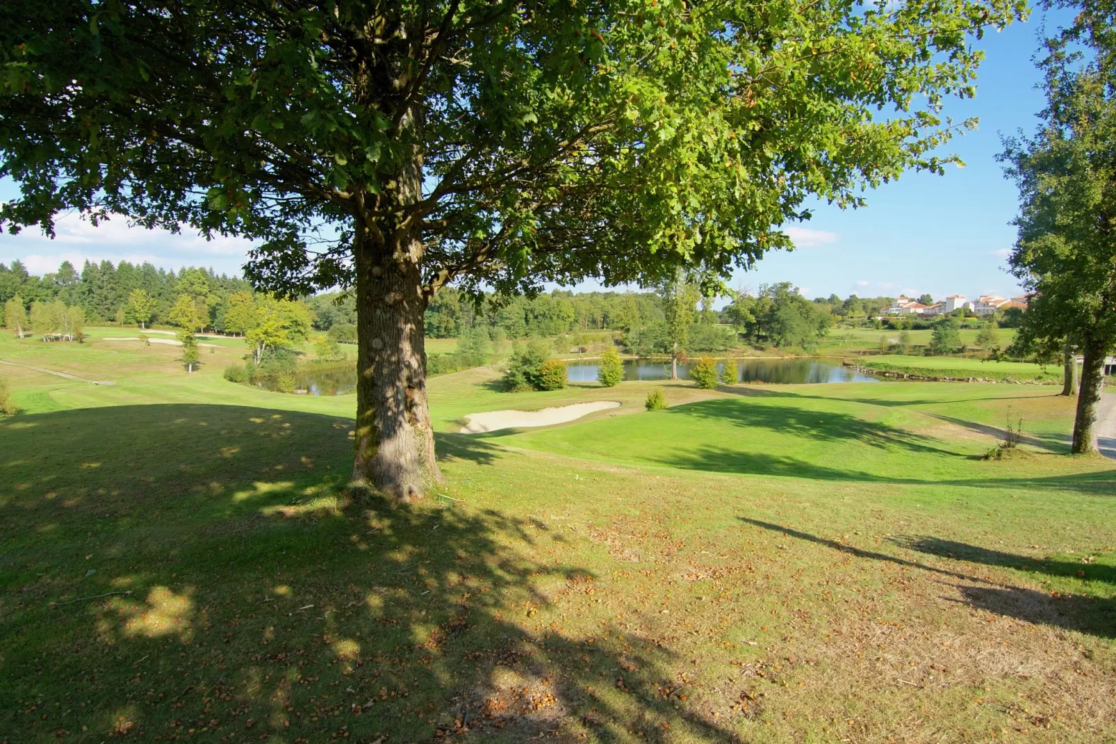 Le Cabriolet-Areas summer 5km
