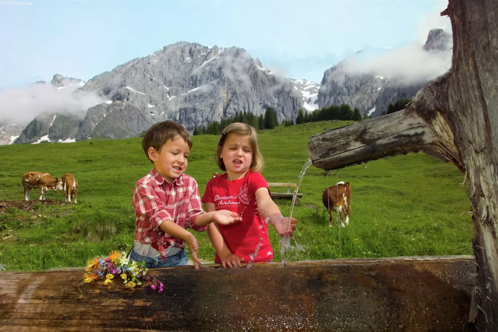 Chalet Schattberg-Areas summer 5km