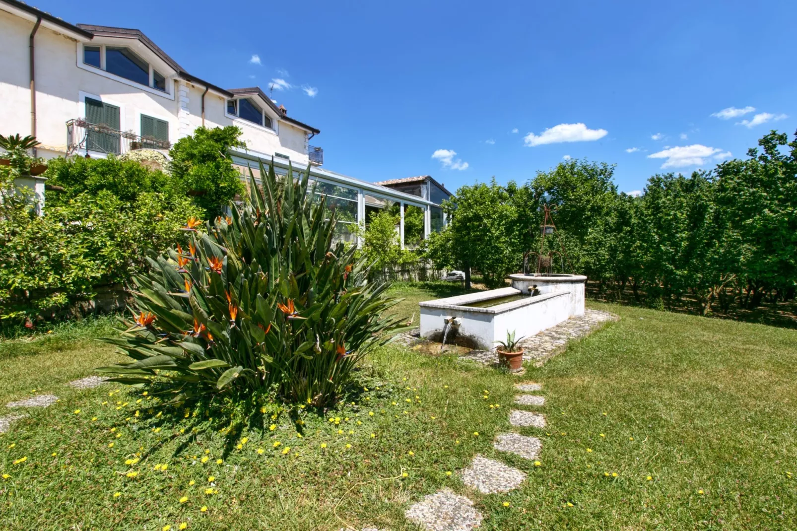 Mandarino-Exterior summer