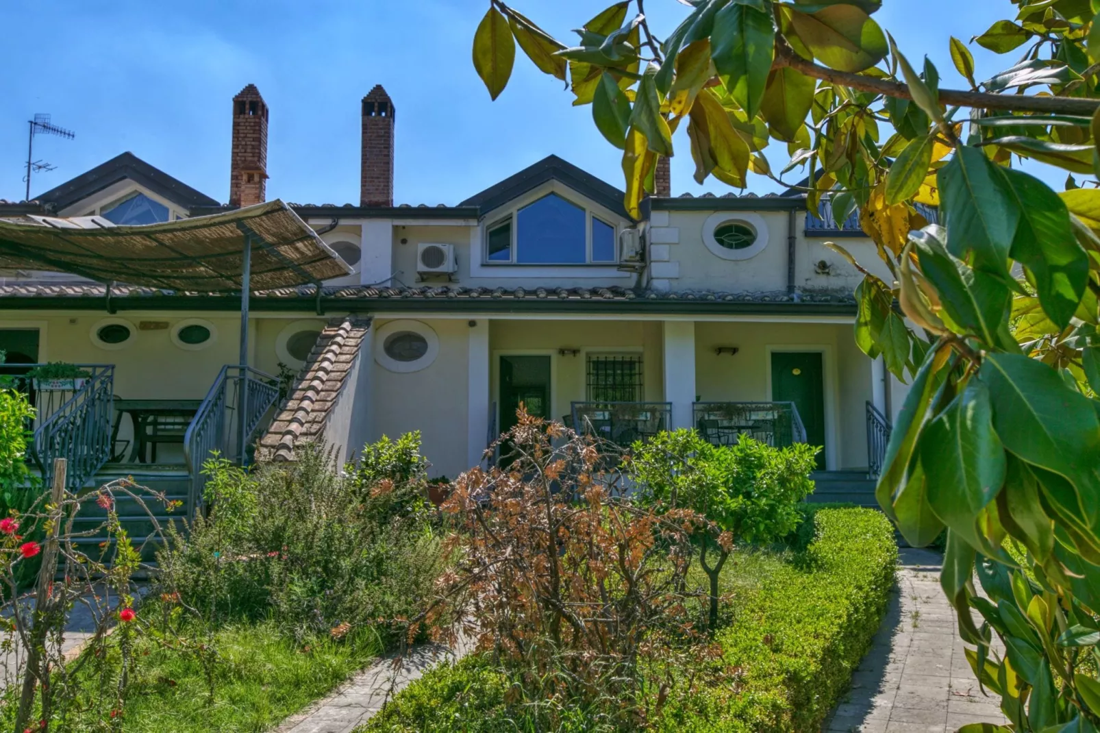 Mandarino-Exterior summer