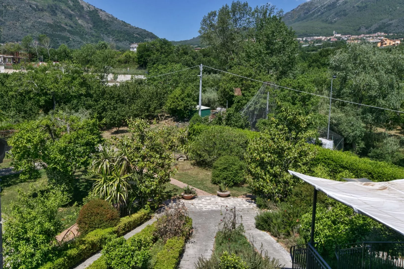 Mandarino-View summer