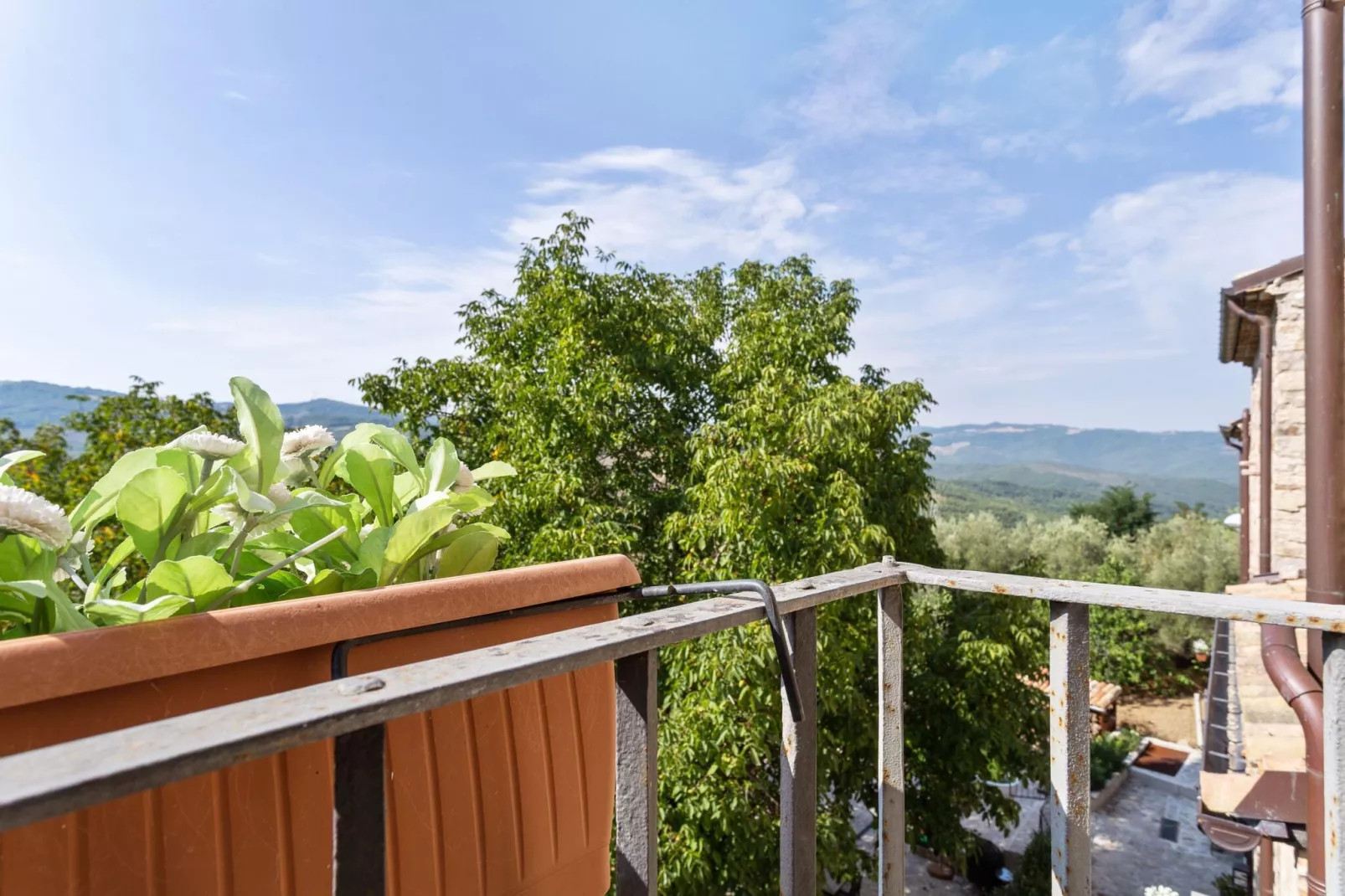 Oleandro 2-Terrace balcony