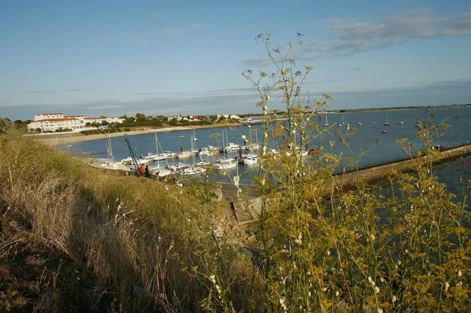 Les Terrasses de Fort Boyard 1-Areas summer 1km