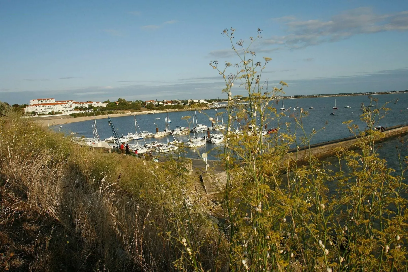 Les Terrasses de Fort Boyard 4-Areas summer 1km