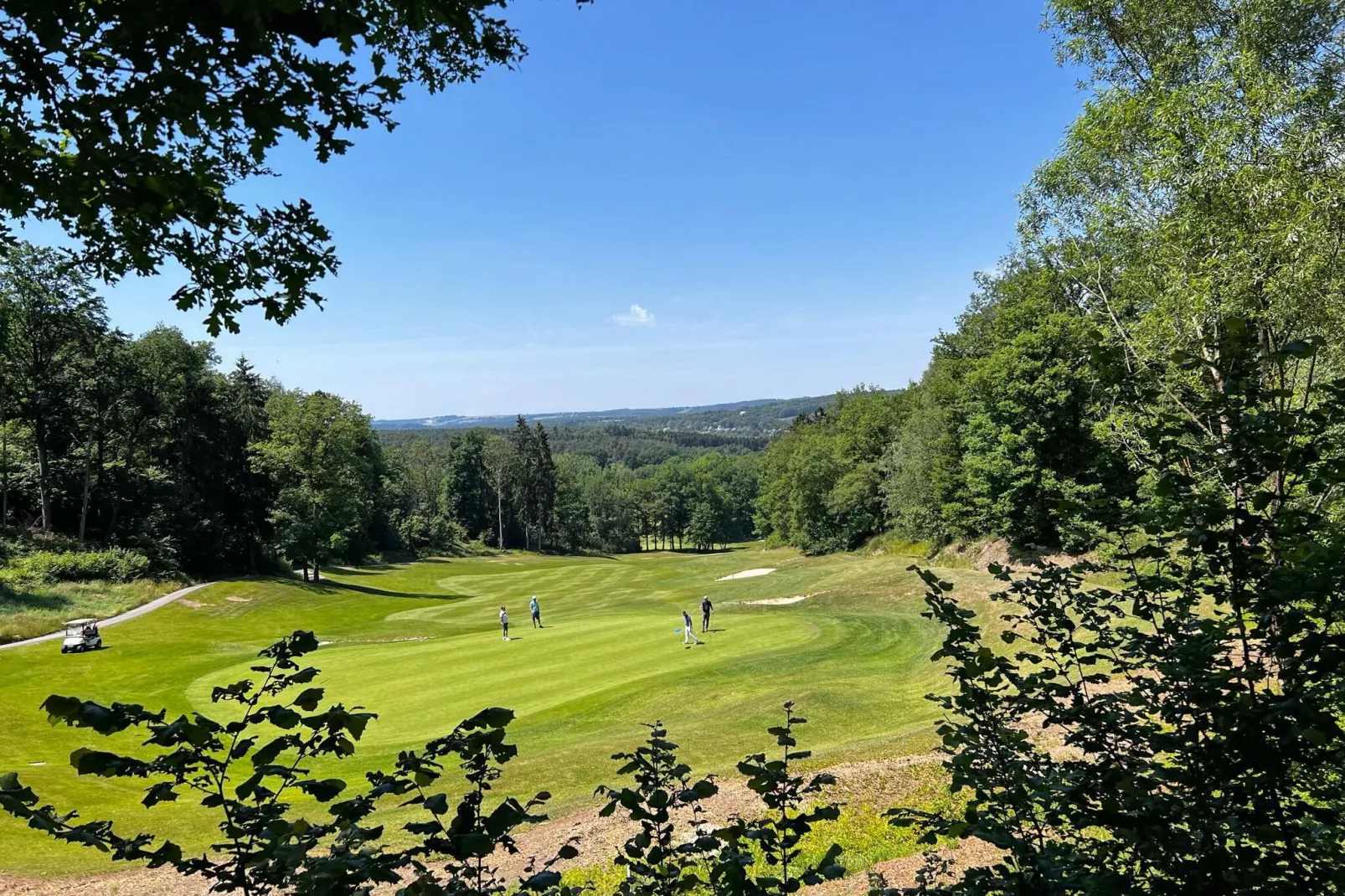 Chateau Angelus-View summer