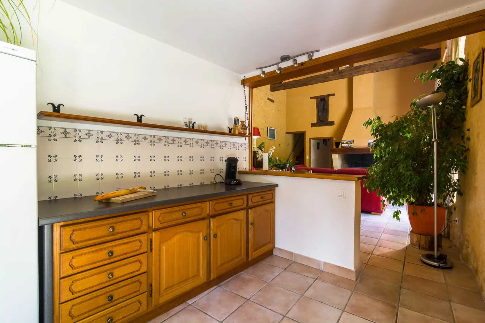 Maison de vacances Salles de Belvès-Kitchen