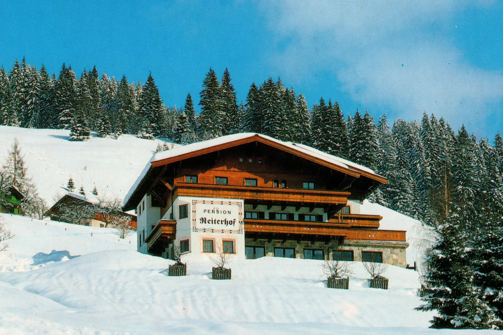 Reiter 15-Extérieur hiver