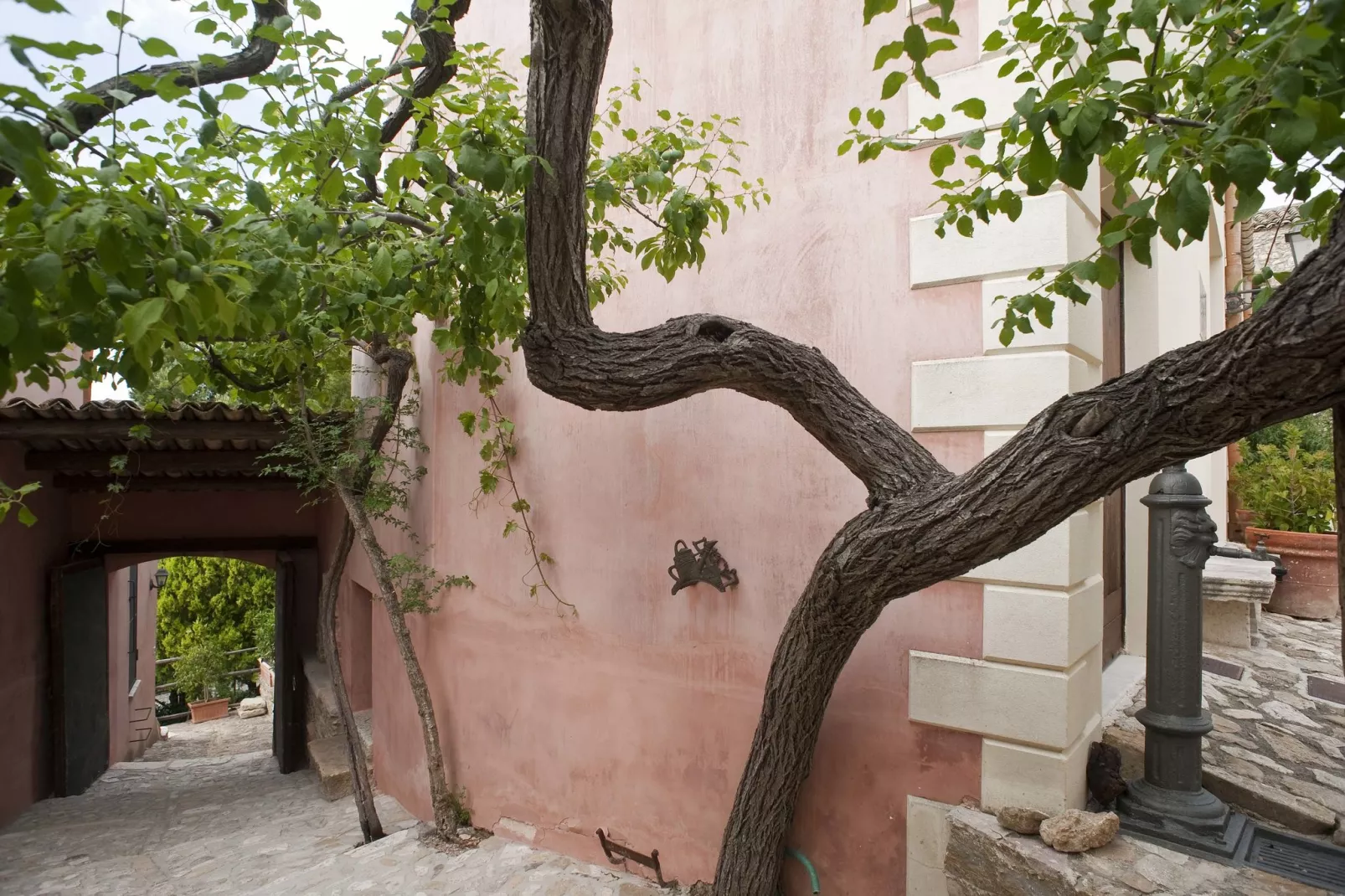 Baglio Maranzano Titi-Jardin d'été