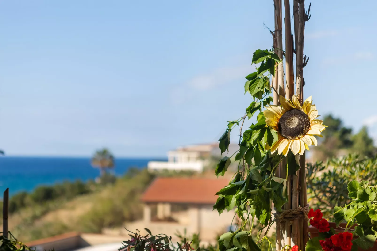 Casa Vacanza Violisa-Ambiente