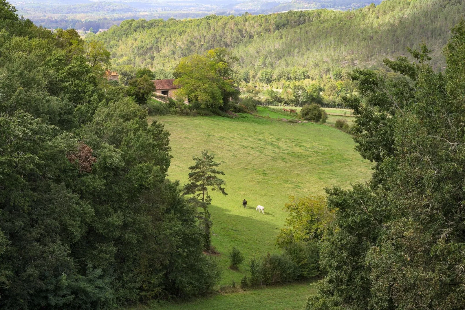 La Dépendance-View summer