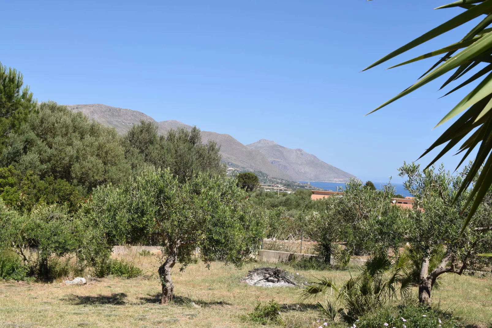 Villa La Marmora-Areas summer 1km