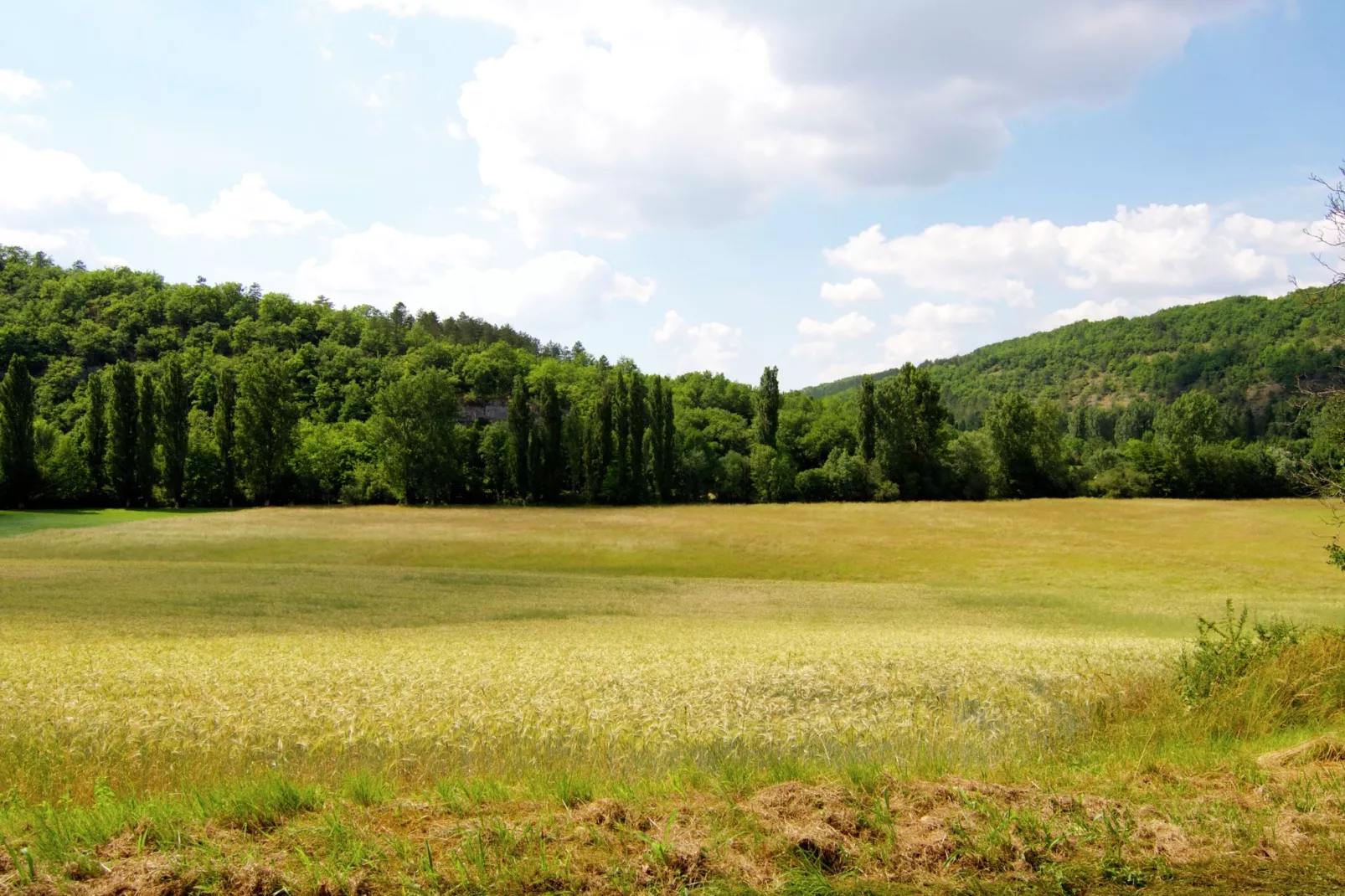 Le Pigeonnier-Zones été à 1 km
