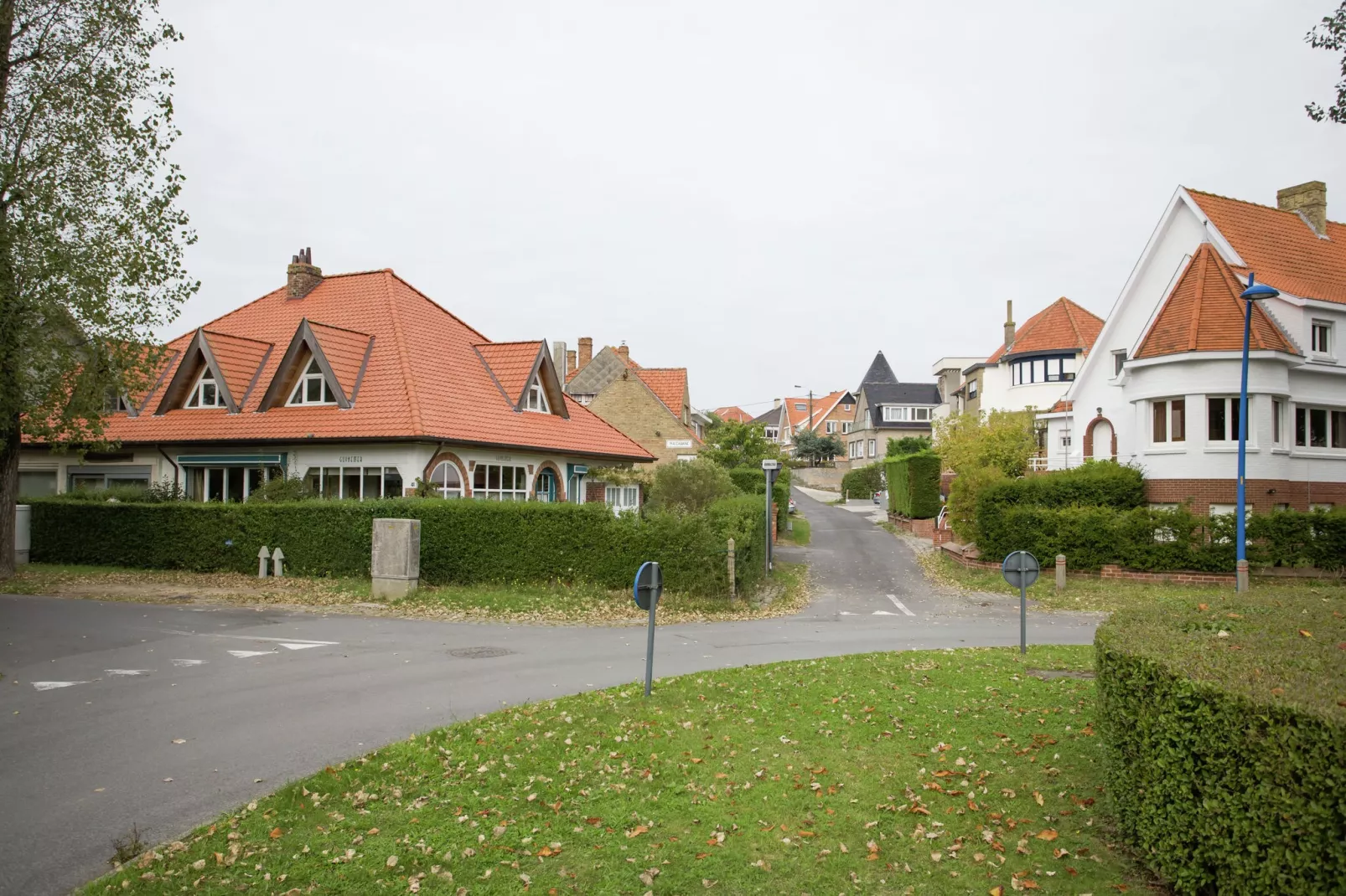 Nynfea-Areas summer 1km