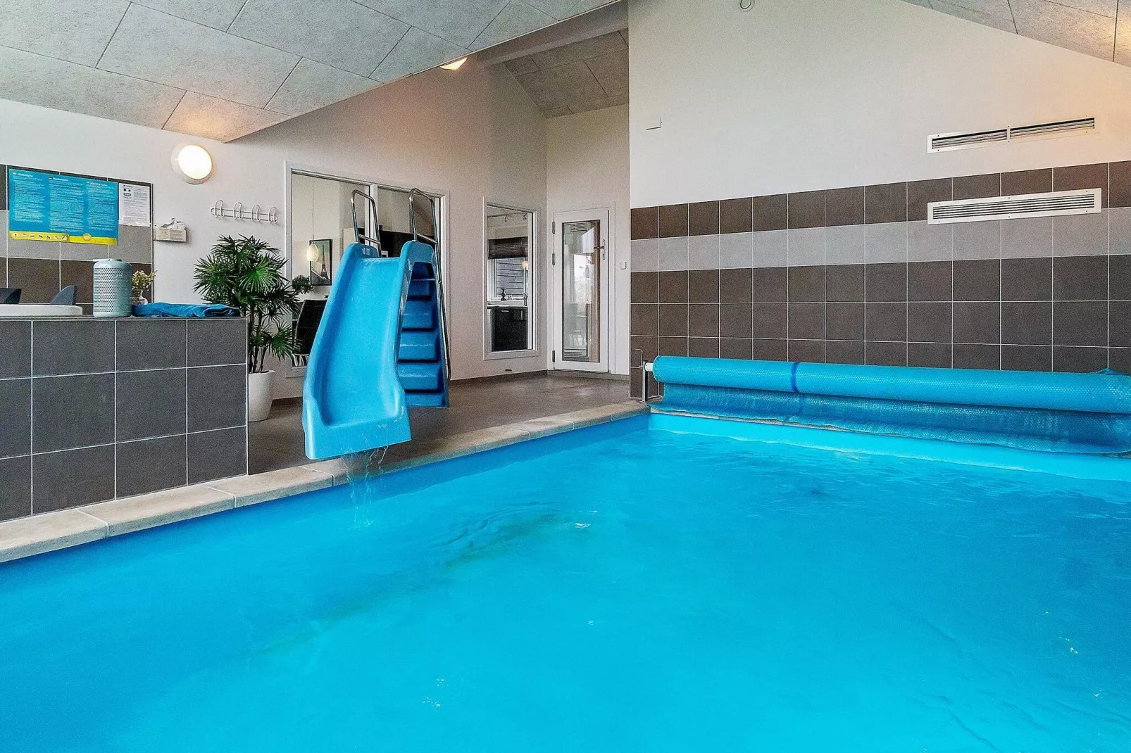 TYP 239-Pool