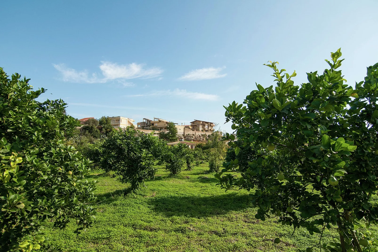 Casa del Limoneto Noto Marina-Jardin d'été