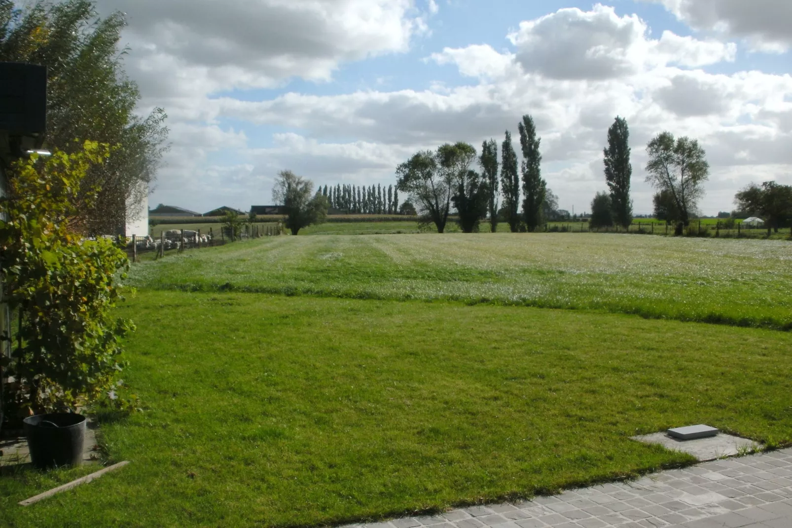 De Bietenmolen-Aussicht Sommer