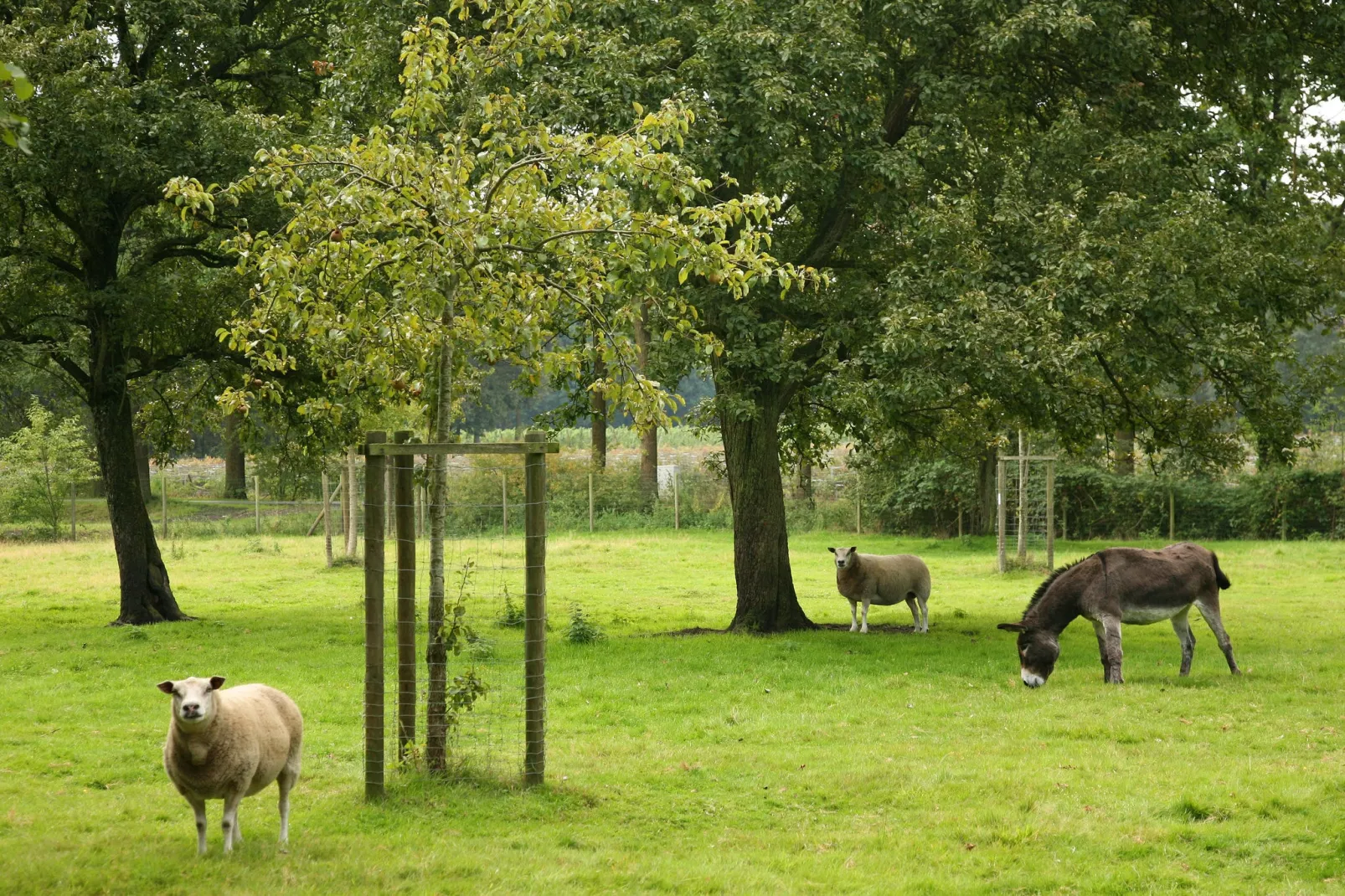 Goed van den Bogaerde-View summer