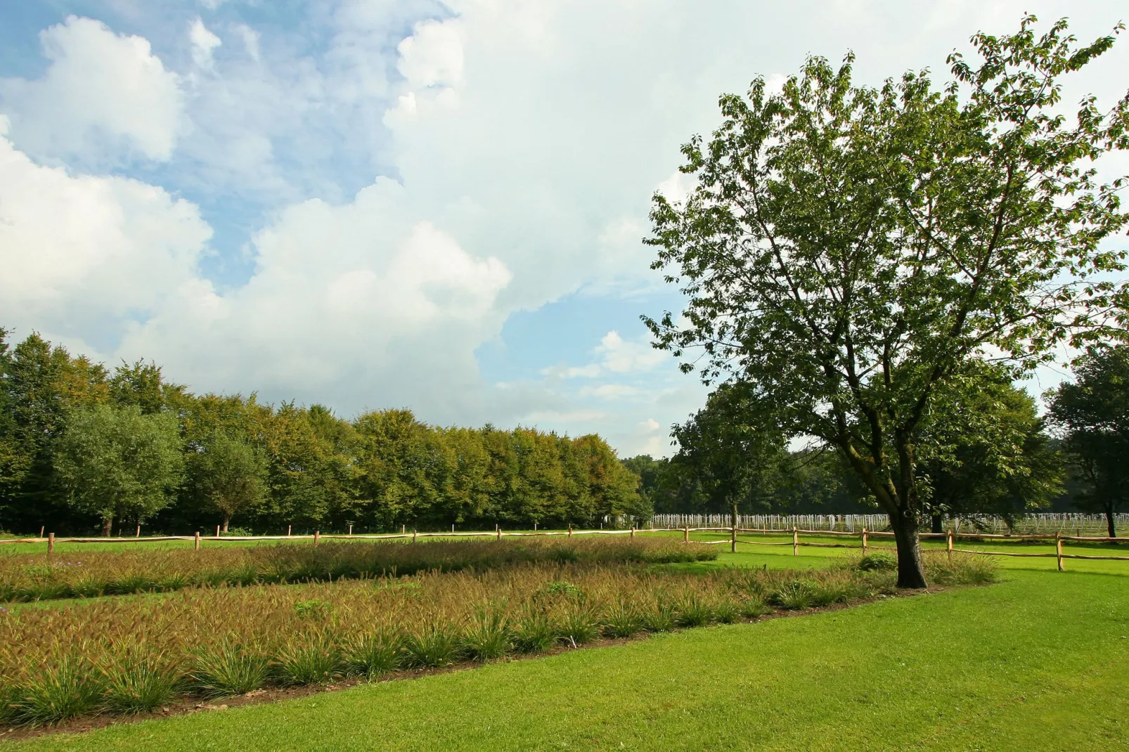 Goed van den Bogaerde-Gardens summer