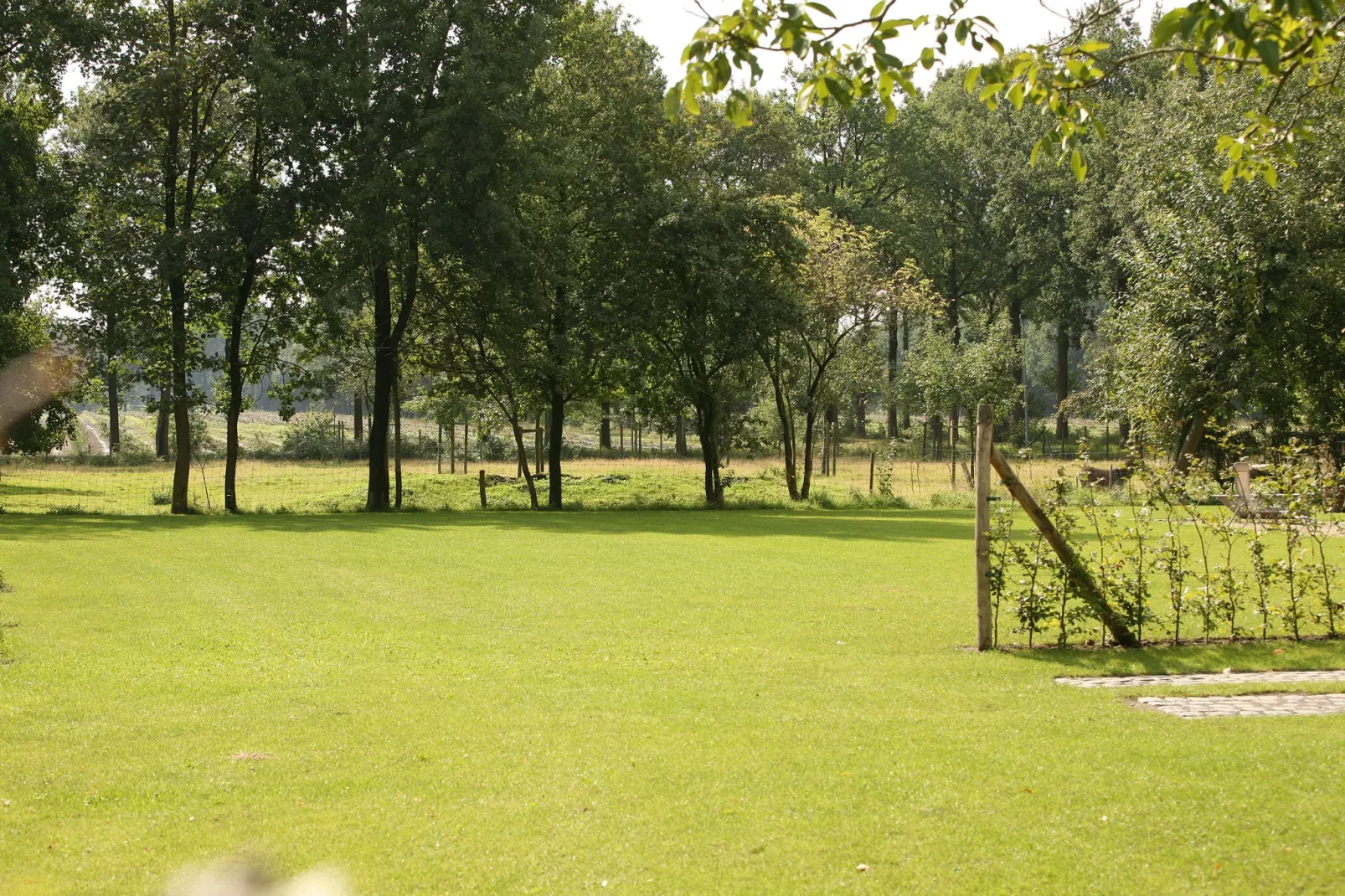 Stalvleugel-View summer