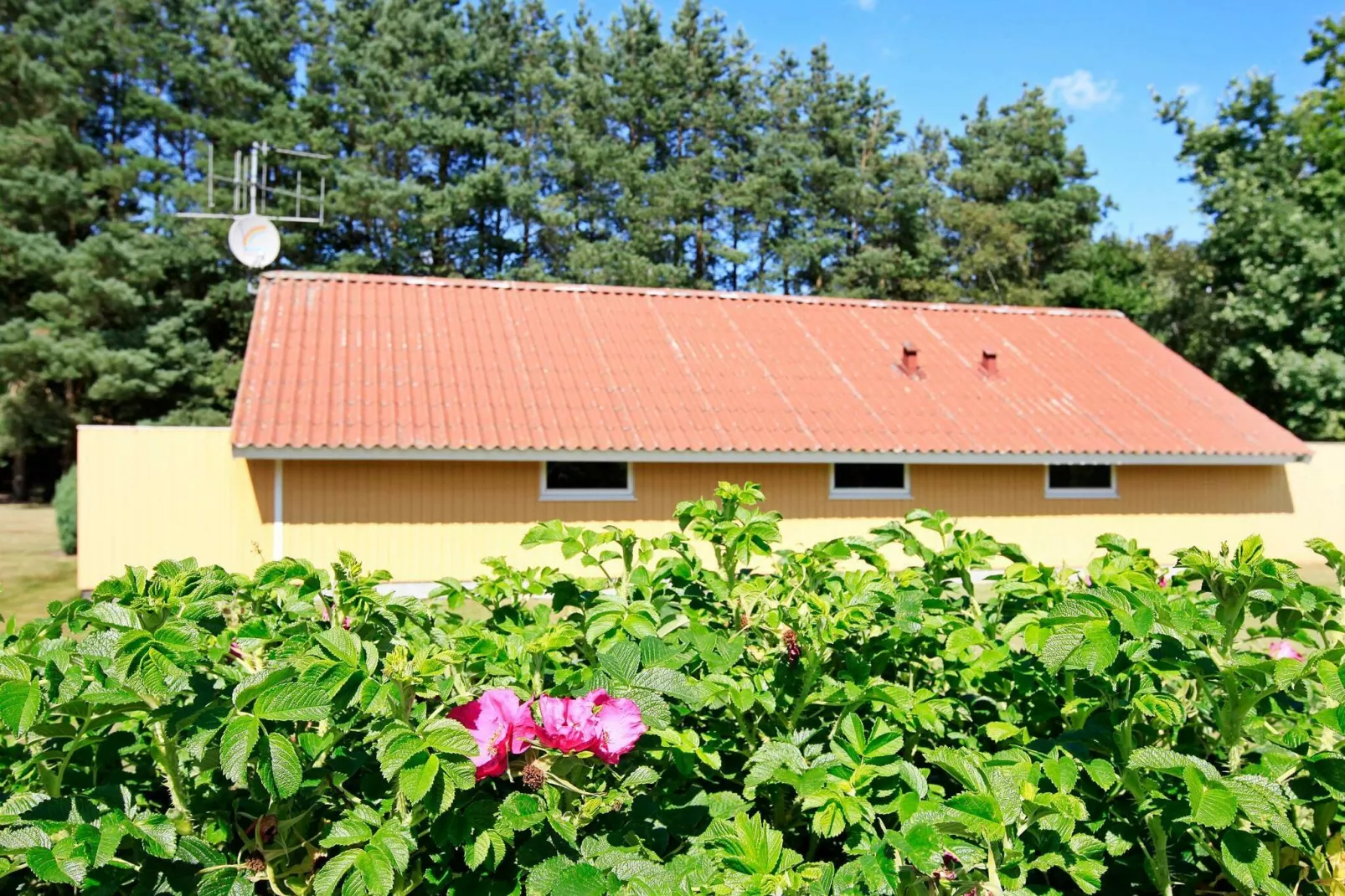 Maison de vacances pour 8 a Oksbøl-By Traum