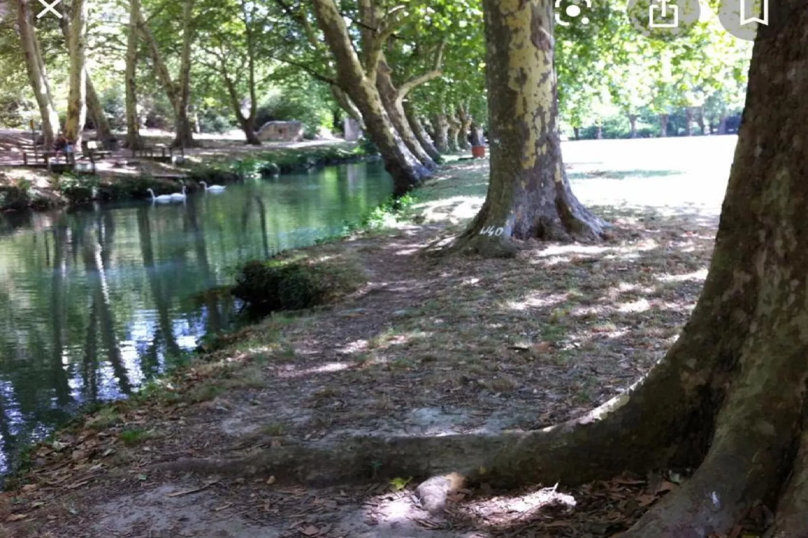 VILLA LA VERNEDE-Areas summer 20km