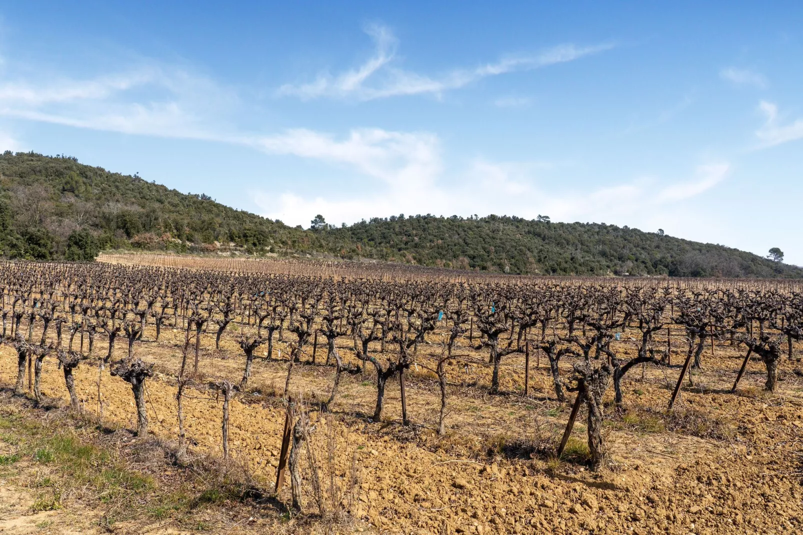 MAISON MASSANES/ BOULET-Areas summer 5km