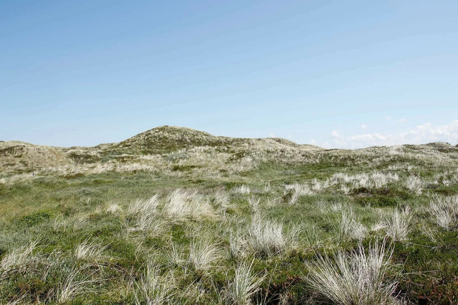 6 Personen Ferienhaus in Pandrup-By Traum