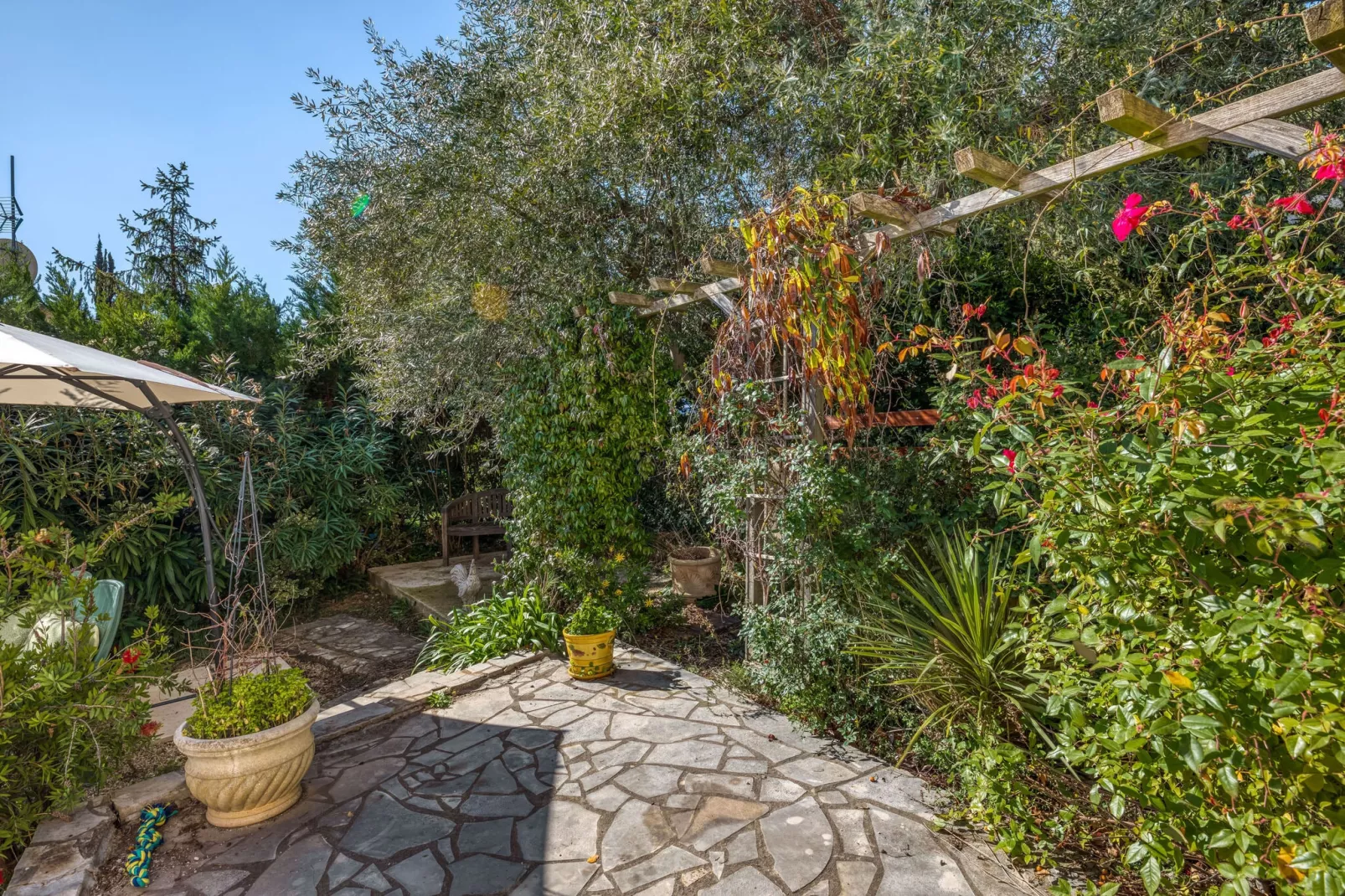 Sourire du Soleil-Gardens summer
