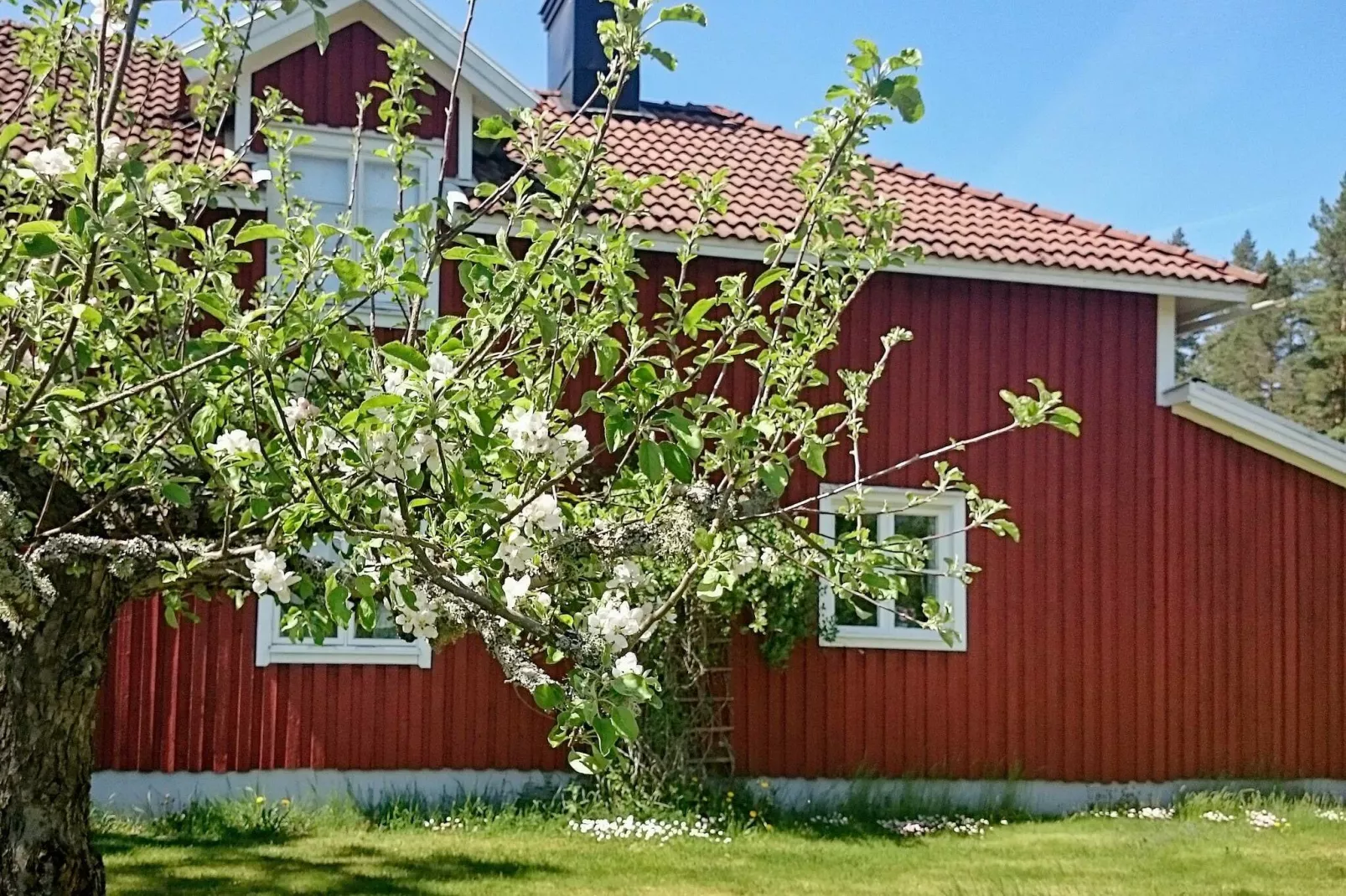 5 person holiday home in GAMLEBY-Outdoor