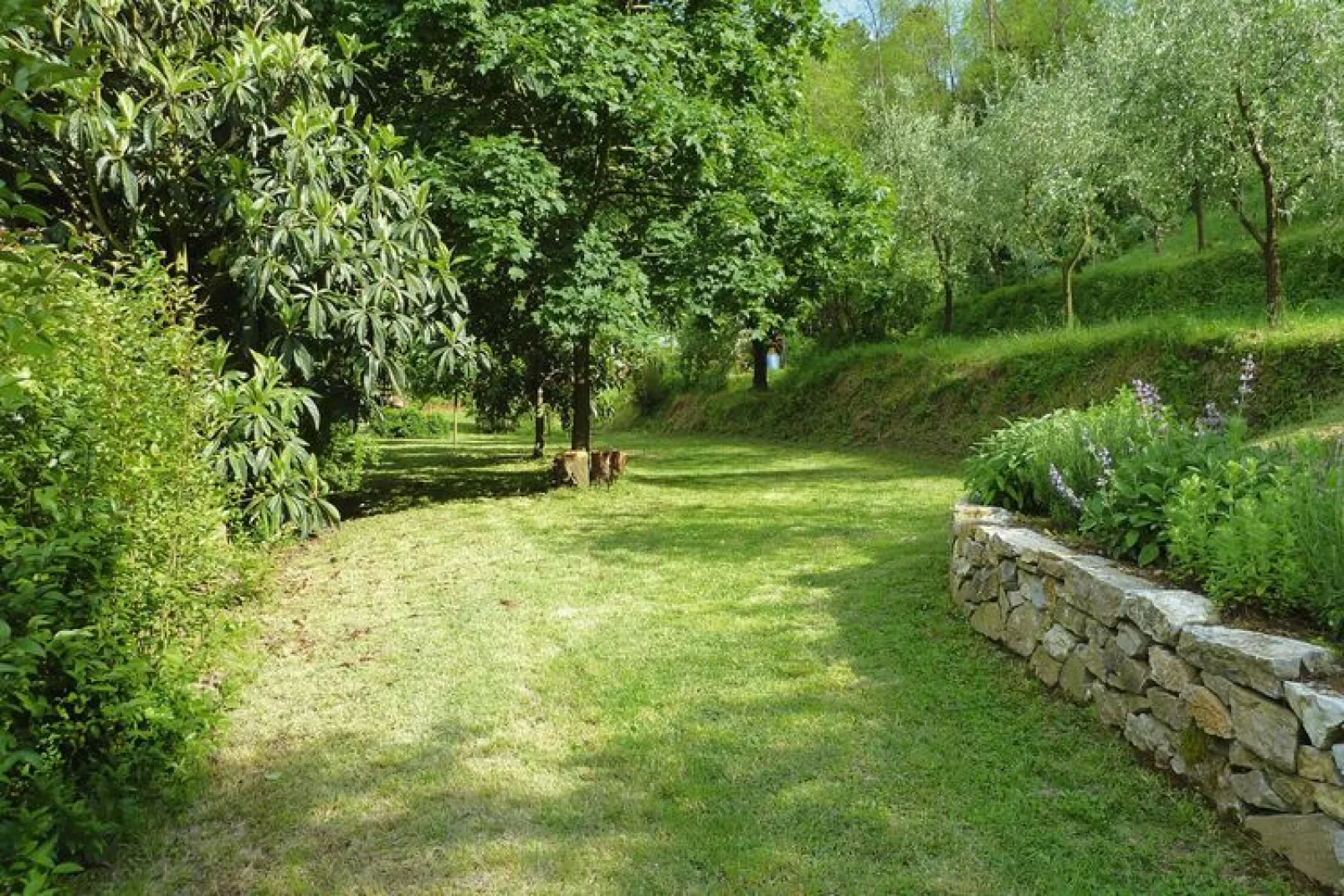 Holiday home Casa Carla, Ripafratta-Casa Carla-Gärten Sommer