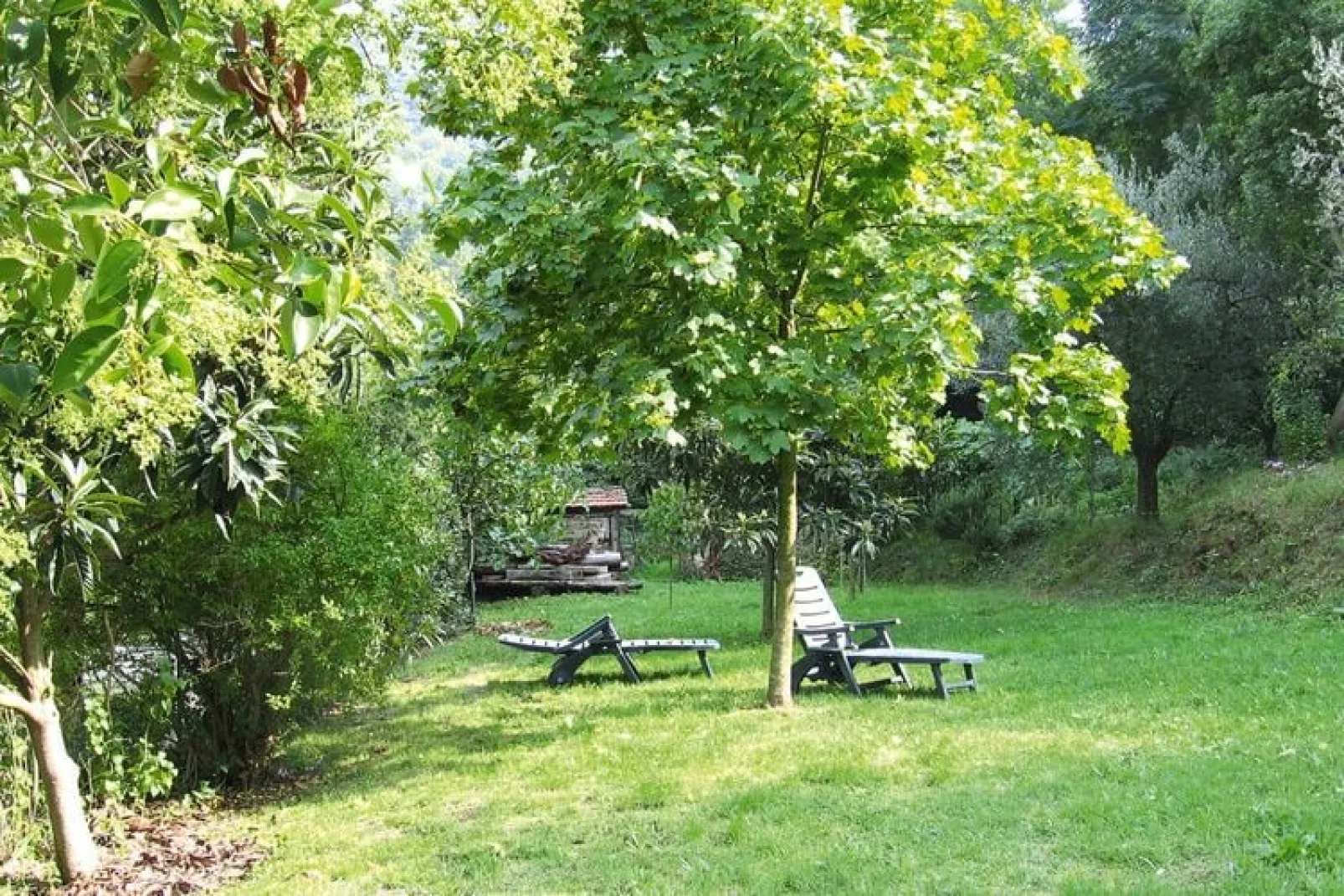Holiday home Casa Carla, Ripafratta-Casa Carla-Gärten Sommer