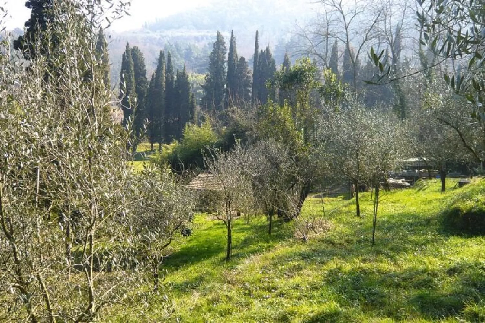 Holiday home Casa Carla, Ripafratta-Casa Carla-Gärten Sommer