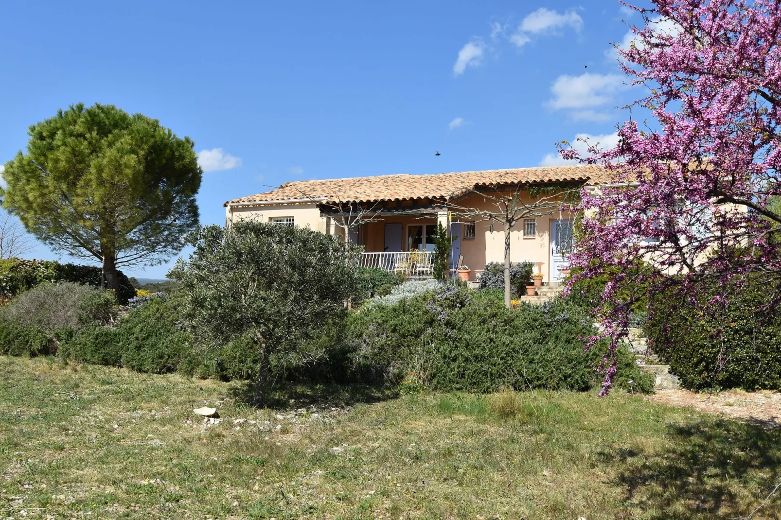 Villa Les Garouillettes-Exterior summer