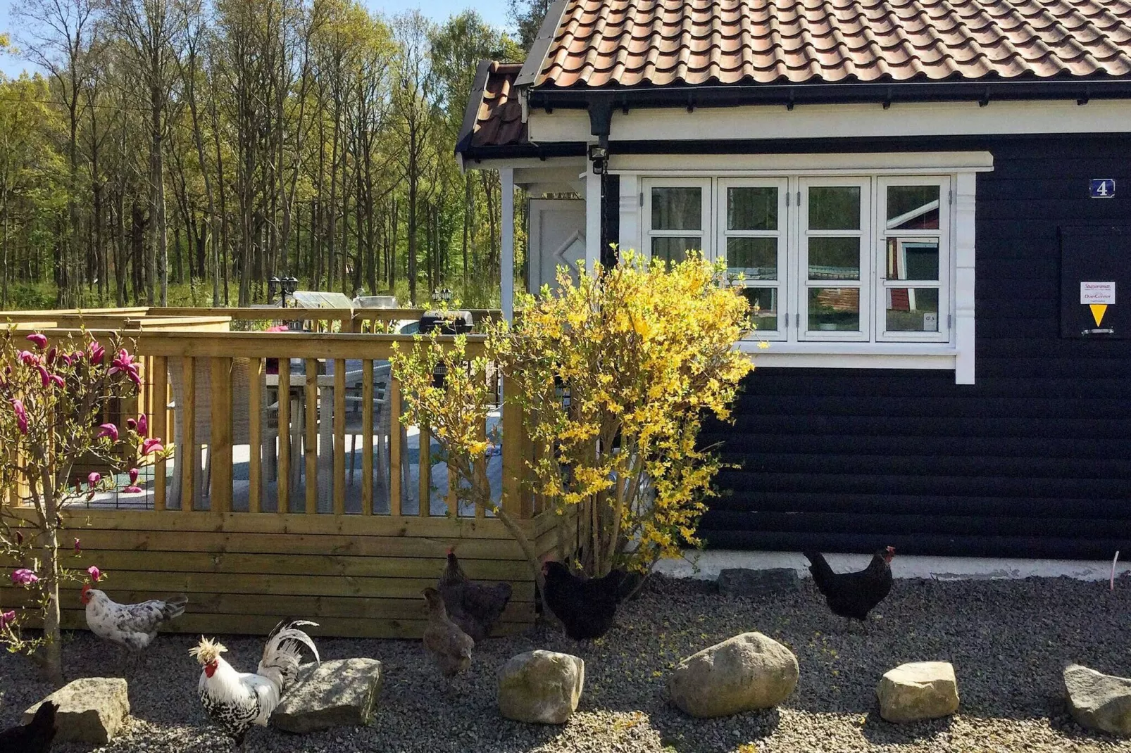 6 Personen Ferienhaus in SÖLVESBORG