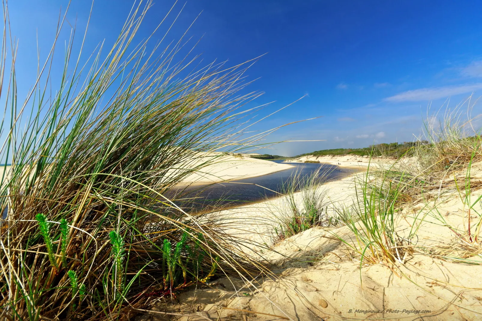 Appartement entre Golf et Océan-Gebiete Sommer 5 km