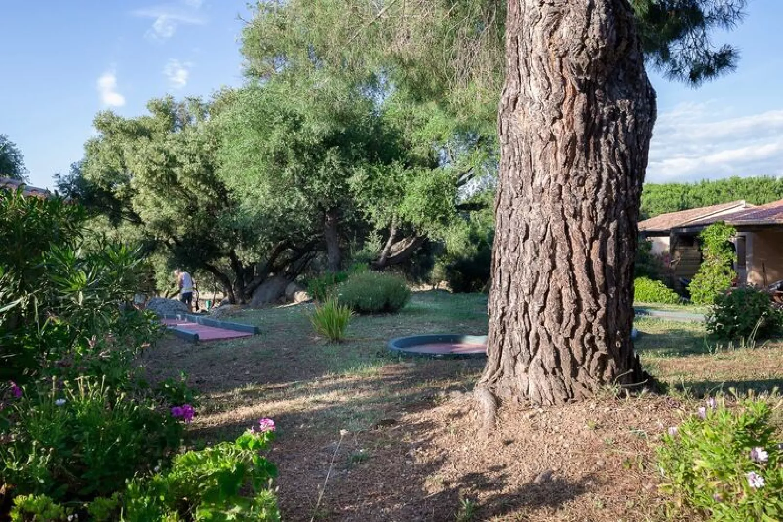 Residence Alba Rossa Serra-di-Ferro // Villa 1 Chambre Côté Nature-Gardens summer