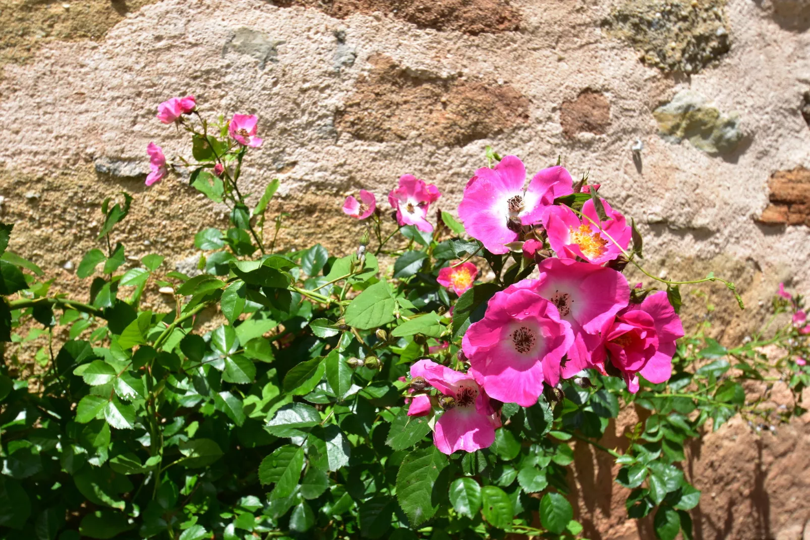 Maison de vacances Rueyres-Ambiance