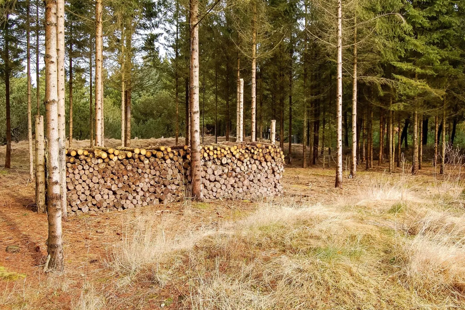 6 person holiday home in Nørre Nebel-Untagged